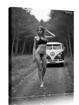 Obraz - plakát 2_2505-06d_00012a.jpg 