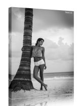 Obraz - plakát 5_250519d_00005g.jpg 