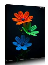 Obraz - plakát 7d0421_00144_a.jpg 