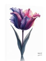 Obraz - plakát 7d2701_00094_a.jpg 