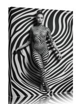 Obraz - plakát 8000161.jpg 